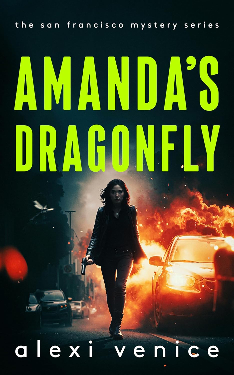 Amanda's Dragonfly (San Francisco Mystery #2)