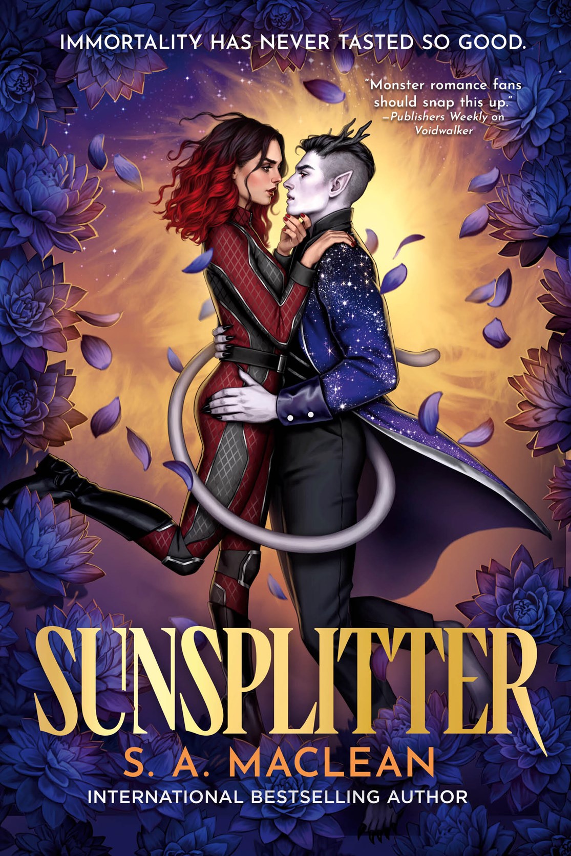 Sunsplitter (Beasts of the Void #2)