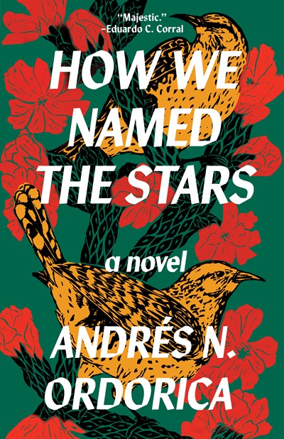 How We Named the Stars