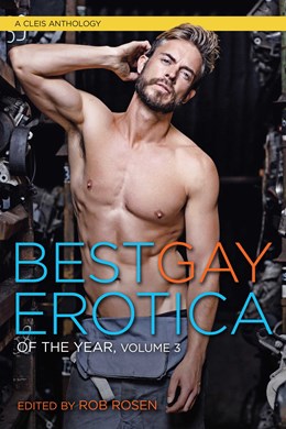 Best Gay Erotica of the Year: Vol. 3