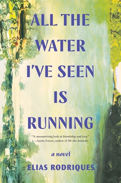 All the Water I've Seen is Running