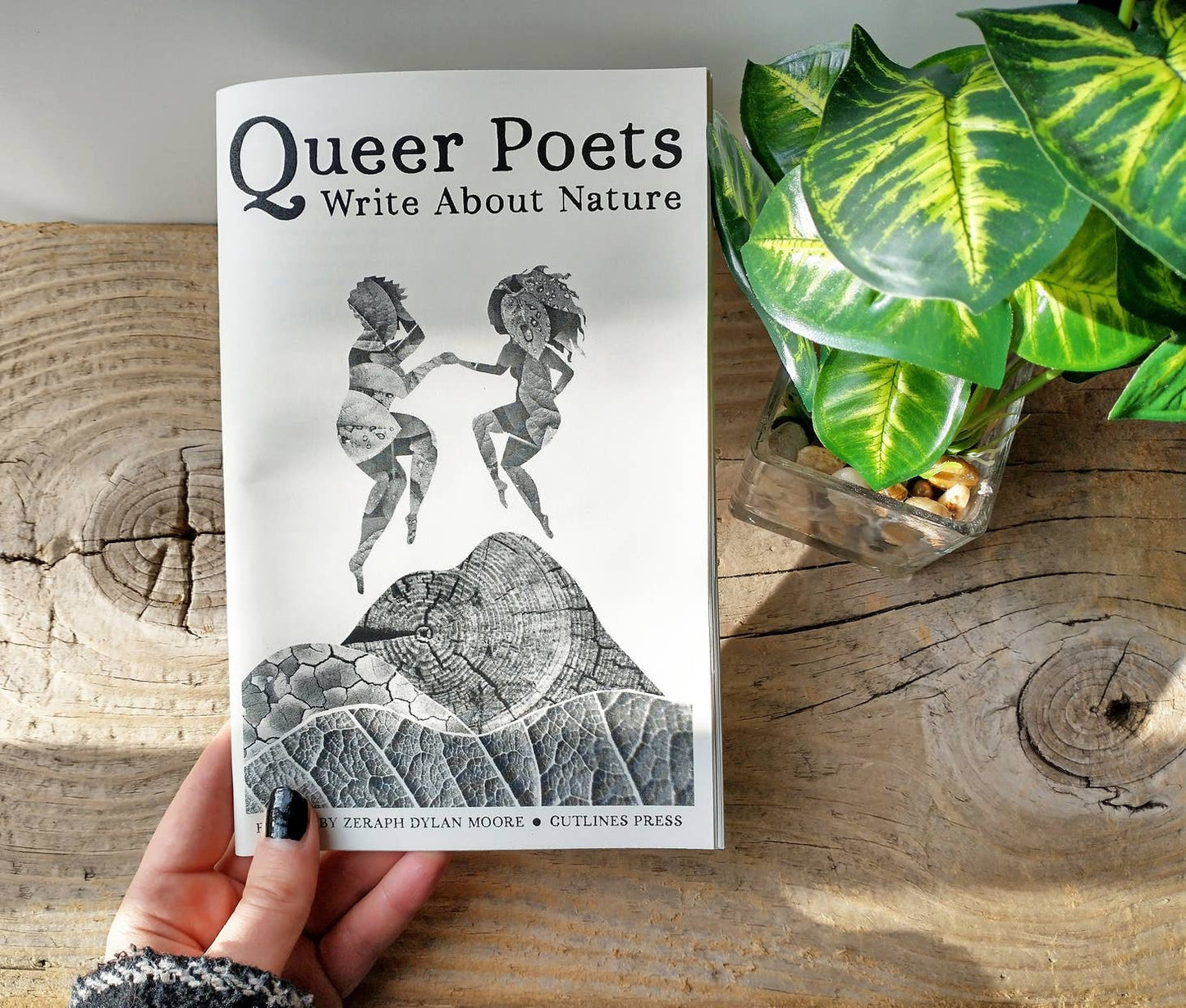 Queer Poets Write About Poetry