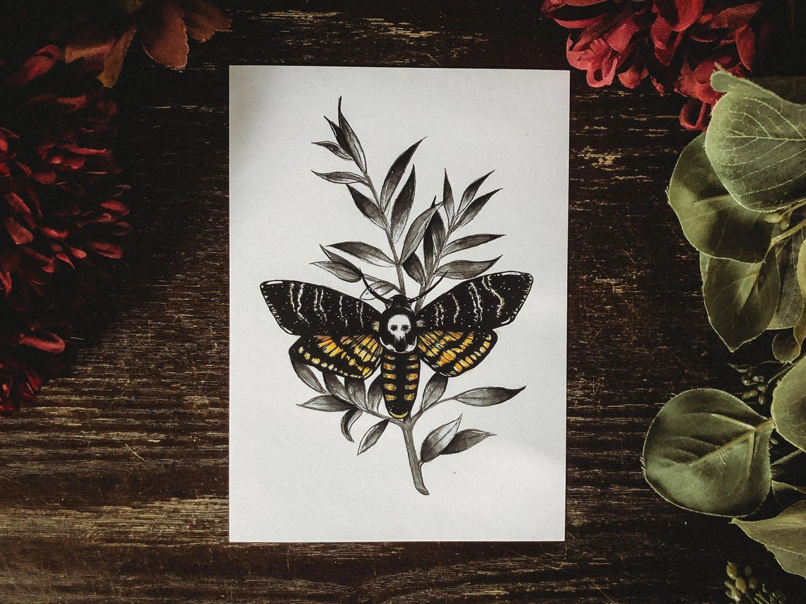The Deathhead Moth Art Print