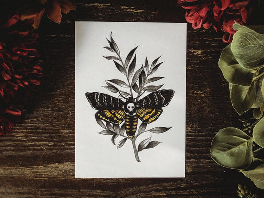 The Deathhead Moth Art Print