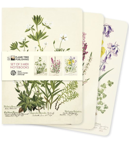 Royal Botanic Garden Edinburgh Set of 3 Midi Plant Notebooks