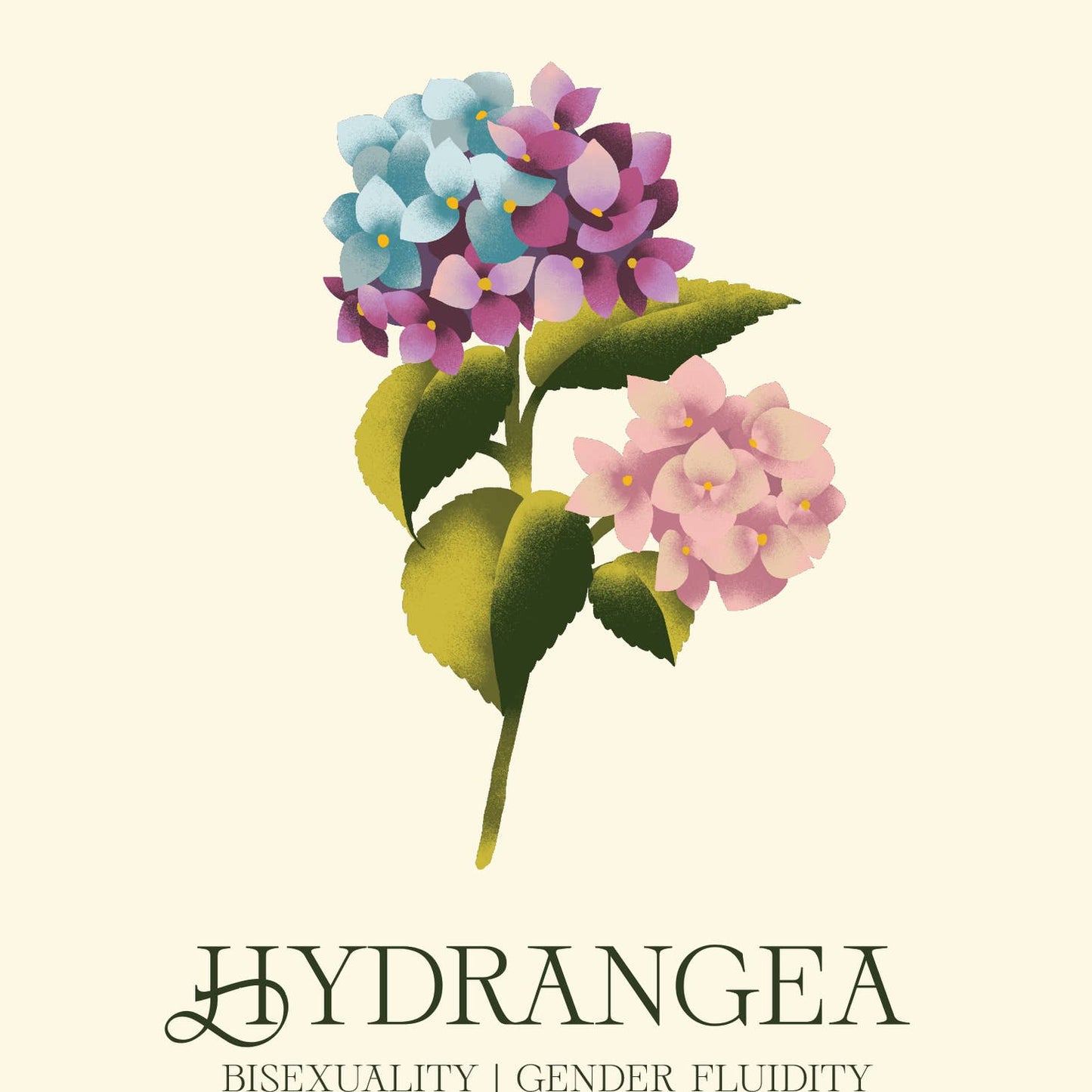 Hydrangea: Bisexuality - Gender Fluidity Print