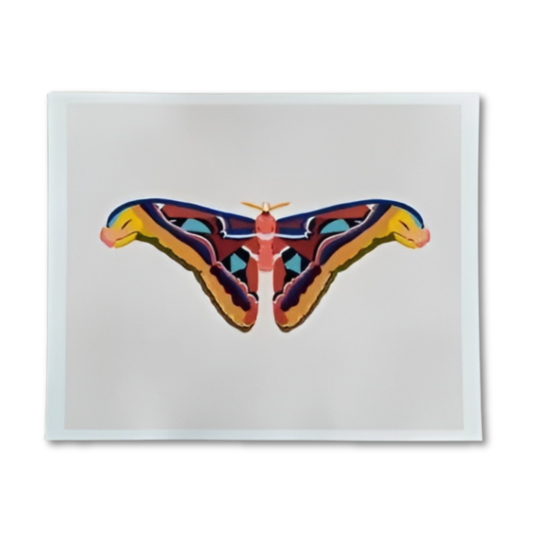 Atlas Moth Print