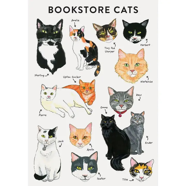Bookstore Cats Journal Notebook