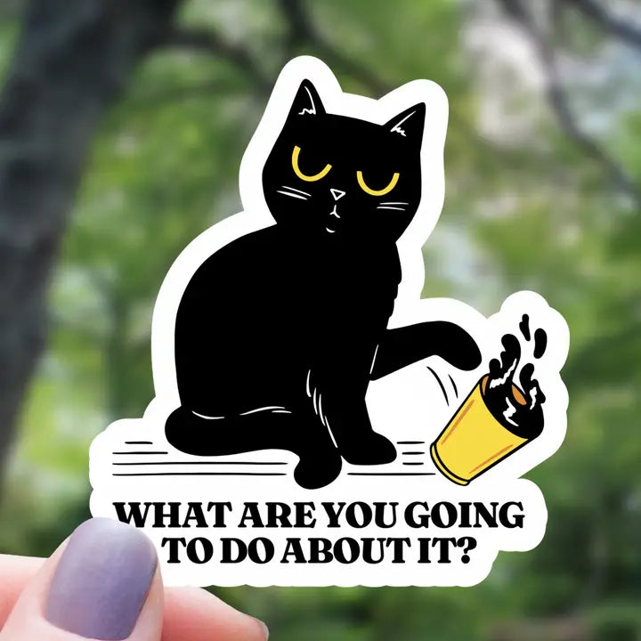 What Are You Going To Do About It? Cat Sticker