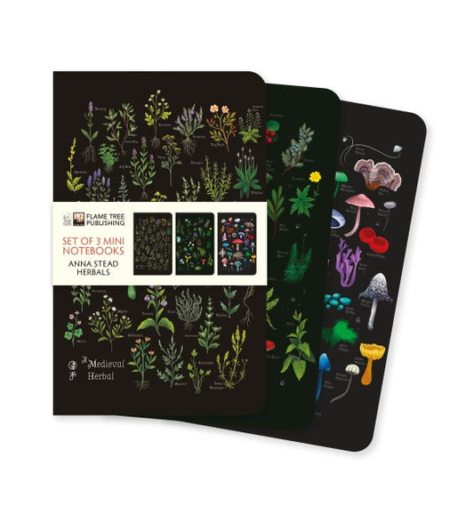 Anna Stead Herbals Set of 3 Mini Notebooks