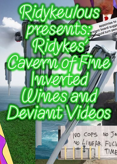 Ridykes' Cavern of Fine Inverted Wines and Deviant Videos