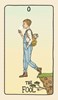 Fifth Spirit Tarot : A 78-Card Deck and Guidebook