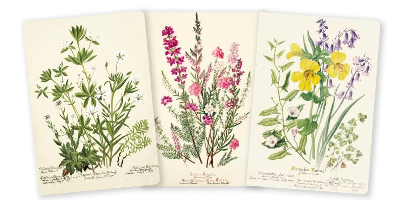 Royal Botanic Garden Edinburgh Set of 3 Midi Plant Notebooks