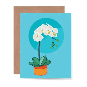 Orchid Card