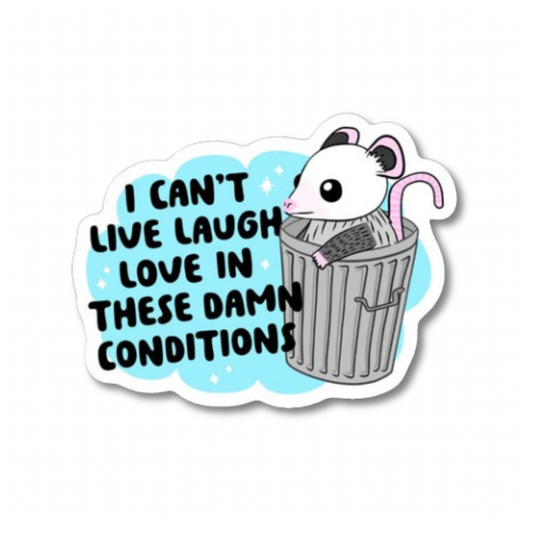 Can't Live Laugh Love in These Conditions Possum Sticker