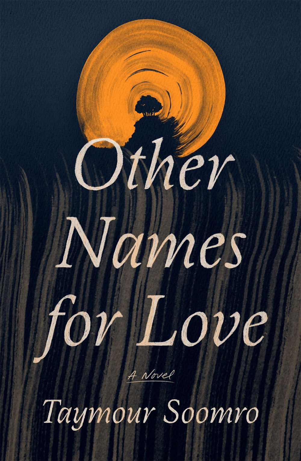 Other Names for Love : A Novel