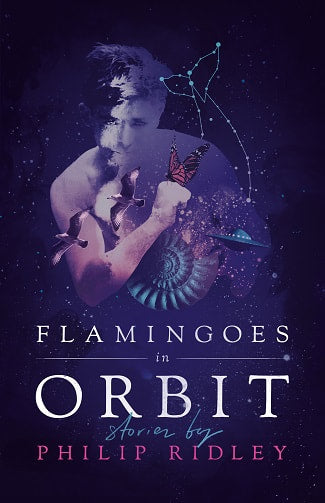 Flamingoes in Orbit